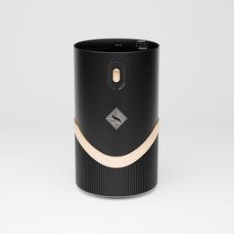 SECRET SCENTA Darcy Diffuser