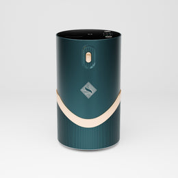 SECRET SCENTA Darcy Diffuser