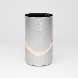 SECRET SCENTA Darcy Diffuser